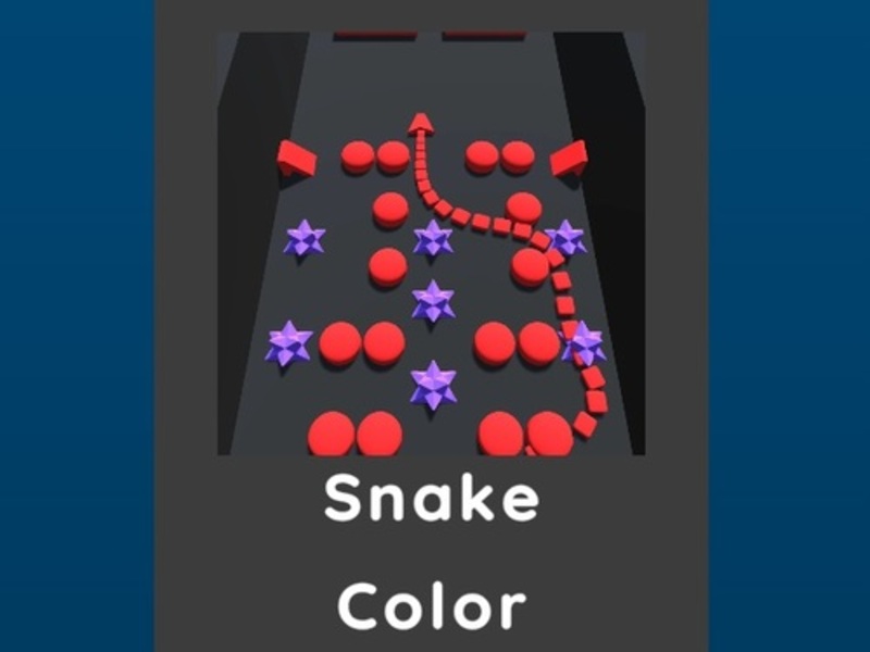 Snake Color 🕹️ SGameSでオンラインプレイ