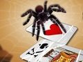 ゲームジャンピングスパイダー オンライン ゲームジャンピングスパイダー オンライン