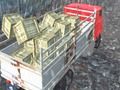 ゲームオフロードトラックドライバー オンライン