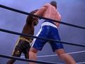ゲームボクシングクラブ オンライン ゲームボクシングクラブ オンライン