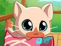 ゲーム私のポケットペットキティの猫 オンライン