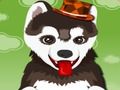 ゲームかわいい犬をお風呂に入れる オンライン