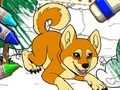 ゲームカラーミーペット2 オンライン