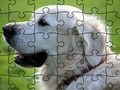 ゲームジグソーパズル 家庭動物オンライン
