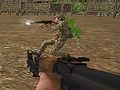 ゲームNAM：ベアフィートアイアンウィル オンライン