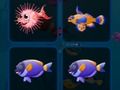 ゲーム魚カード オンライン