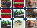 ゲーム記憶の問題 オンライン