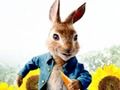 ゲームピーターラビット: 迷路のトラブル オンライン