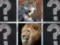 ゲーム記憶マッチジャングル動物オンライン