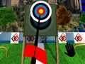 ゲームアドバンスドトーナメントアーチェリーオンライン