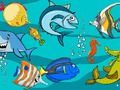 ゲーム魚の違いオンライン