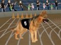 ゲームクレイジードッグレーシングフィーバーオンライン