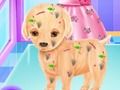 ゲームベイビーエルサパピー手術オンライン