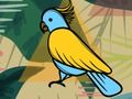 ゲームエキゾチックな鳥の塗り絵オンライン