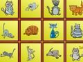 ゲーム猫 Findiffオンライン