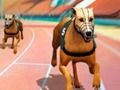 ゲームクレイジードッグレースフィーバーオンライン