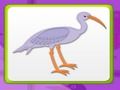ゲーム子供の記憶と鳥オンライン