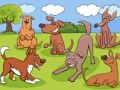 ゲーム動物の違いオンライン