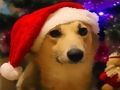 ゲーム面白いクリスマスの犬 オンライン