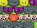 ゲームポップポップ子猫オンライン