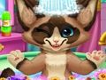 ゲーム子猫風呂 オンライン