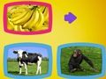 ゲーム動物は何を食べますか？オンライン