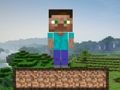 ゲームマインクラフトサバイバル オンライン