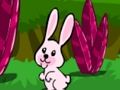 ゲームホッピングうさぎの脱出 オンライン