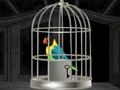 ゲーム脱出ゲームインコ オンライン