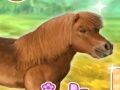 ゲーム私の愛するポニー オンライン