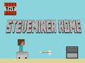 ゲームスティーブミナーホーム オンライン