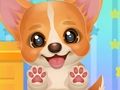 ゲームあなたのペットの子犬を採用する オンライン