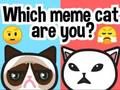 ゲームあなたはどのミームキャットですか？オンライン