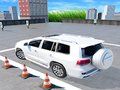 ゲームプラド駐車場 オンライン