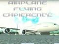 ゲーム飛行機の飛行体験 オンライン