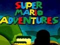 ゲームスーパーマリオアドベンチャー オンライン