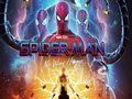ゲームスパイダーマン：マルチバース オンライン