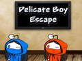 ゲームデリケート ボーイ エスケープ オンライン