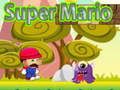 ゲームスーパーマリオ オンライン