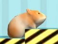 ゲームハムスター 確認する オンライン