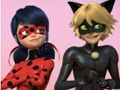 ゲームミラキュラス・レディバグ＆シャノワール ジグソーパズル オンライン
