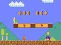 ゲームスーパー マリオ ブラザーズ: ロード トゥ インフィニティ オンライン