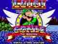 ゲームルイージ・イン・ソニック オンライン