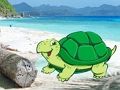 ゲームビーチクラブペアエスケープ オンライン