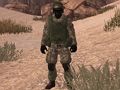 ゲーム祖国の兵士：サハラ オンライン