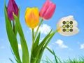ゲーム花の芝生からの脱出 オンライン