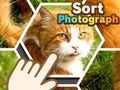 ゲーム写真を整理するオンライン