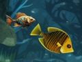 ゲーム終わりのない魚の楽しみ オンライン