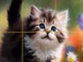 ゲームパズルのスライディング子猫 オンライン