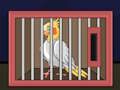 ゲームオカメインコの鳥を放す オンライン